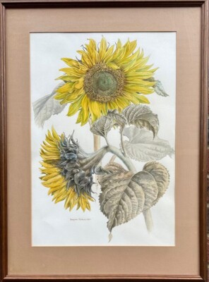 Benjamin Perkins: Studie der Sonnenblumen, Aquarell