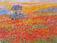 Red Poppies Signed Landscape Painting Original Watercolor 12x15.5 in