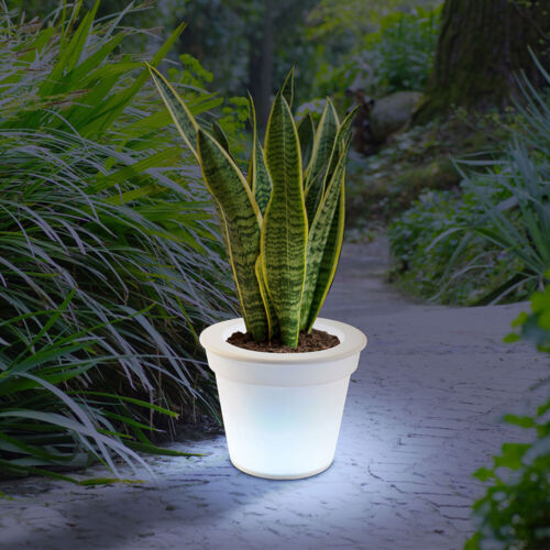 LED Solar Leuchte weiß Außen Garten Deko Lampe Blumen Topf Pflanzen Kübel Kasten - Bild 9 von 12