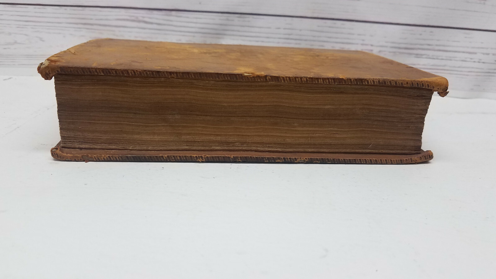 Picture 4 of 12