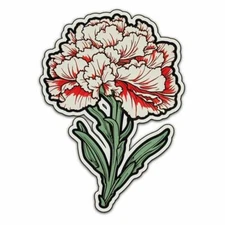 Carnation Flower # 006478