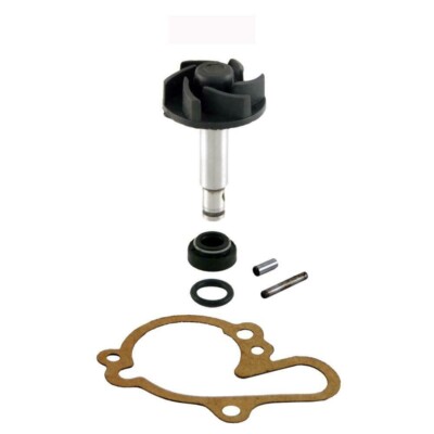 KIT ÜBERHOLUNG WASSERPUMPE H2O MINARELLI AM6 APRILIA PEGASO 50 2T