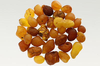 Lot of 32 Natural Raw Rough Rare Drops Nugget Genuine BALTIC AMBER 15g s170202-9