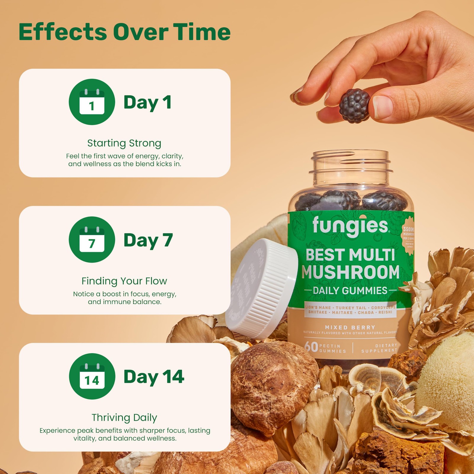 Fungies Multi Mushroom Gummies - Lion's Mane, Cordyceps, Reishi, Chaga, Shiitake