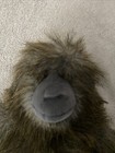 Bild 2 von 5
