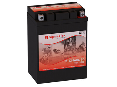 Yuasa YTX14AHL-BS Battery (Replacement)
