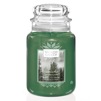 Yankee Candle Duftkerze Großes Glas 623 g - verschiedene Duftrichtungen