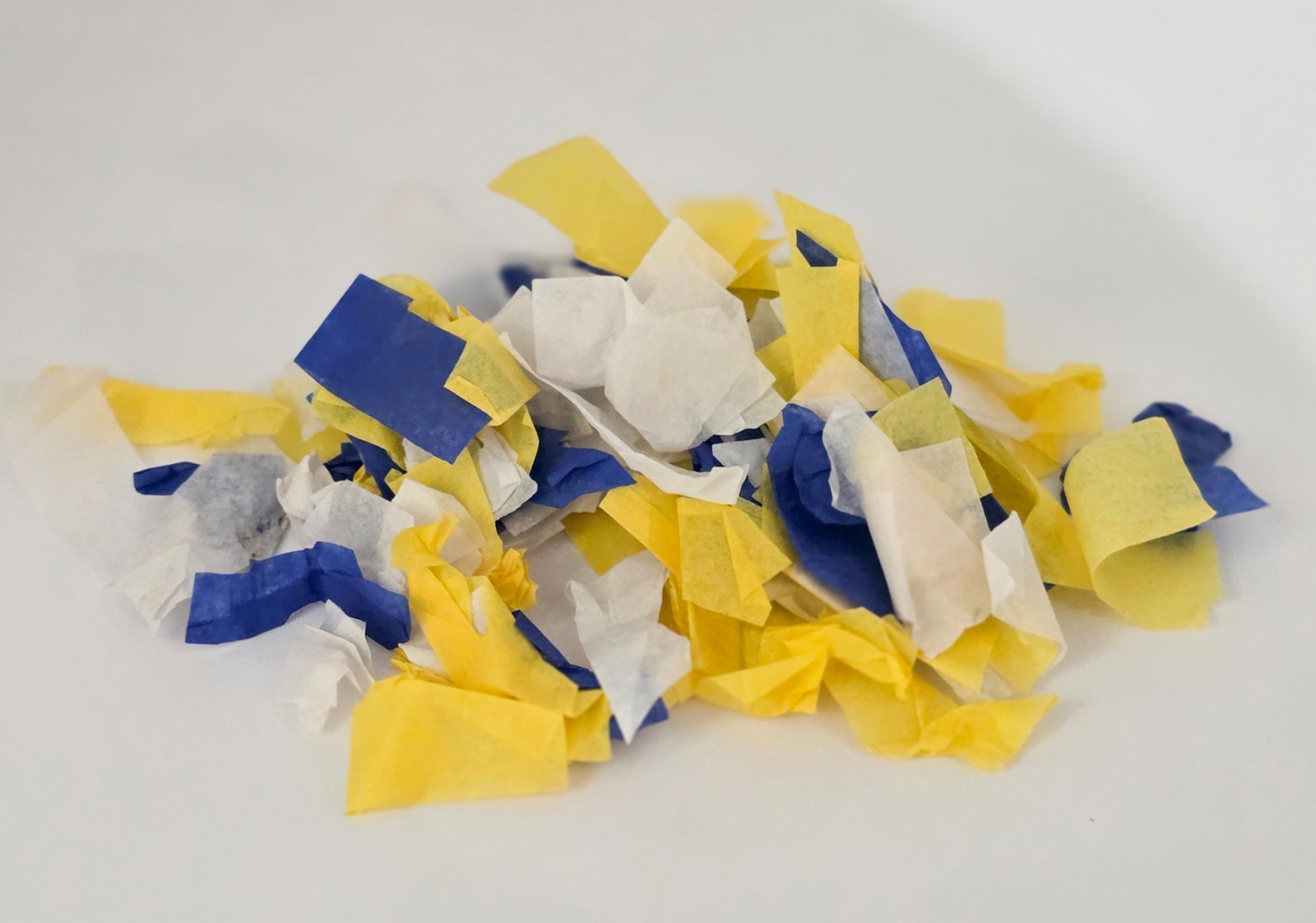 2026 - CONFETTI - Tyler Reddick  #45 - Goodyear 400 - Victory Lane