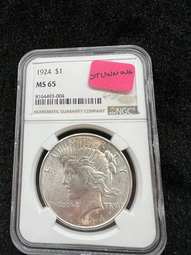 1924 Peace Silver Dollar NGC MS65 Frosty Superb Blast White ~ Free S/H