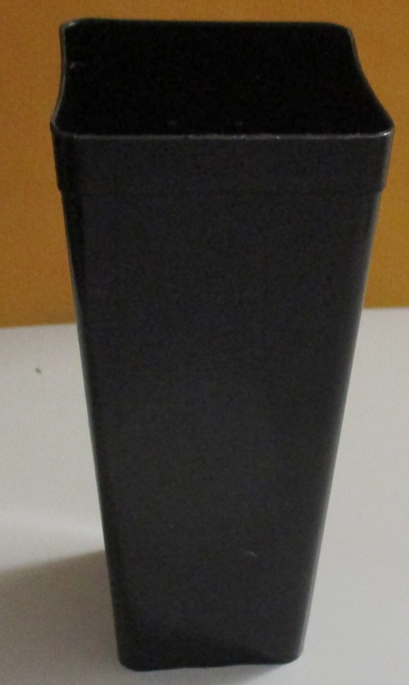 THAI TABASCO CHILLI PLANT AFRICAN BIRDS EYE CHILLI PLANT about 11cm to