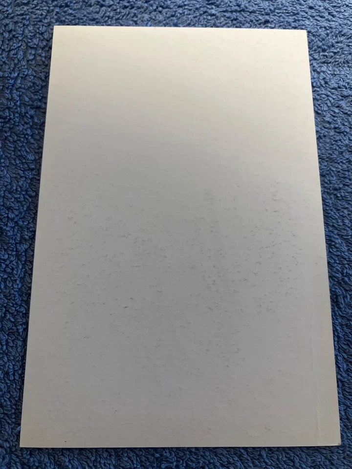 Sergei Jewgenjewitsch Beresin KEC Kölner Haie Autogrammkarte 1994 AUTOGRAMM RAR - Bild 2 von 2