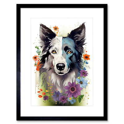 Border Collie Hund Bild Schottland blaues bawsant Gesicht hell gerahmter Kunstdruck 9 x 7 Zoll