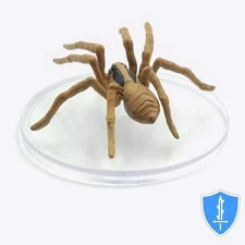 Giant Wolf Spider - Spell Effects Wild Shape & Polymorph 2 #15 D&D Icons Realms