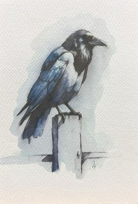 Original Watercolor Painting Raven Bird   Size (5x7 inches)