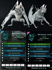 Desmodus Color Pair ARK?? Survival Ascended ASA PVE PC/XBOX/PS