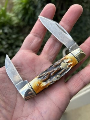 #2530 Rough Ryder Damascus Cinnamon Bone Senator Jack Pocket Knife New In Box