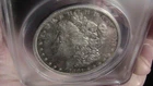 1891 s morgan silver dollar EXTRA FINE-40 new grade/slab BEAUTY!! field scr.EF40