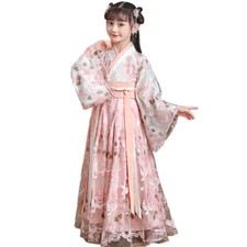 Girl Embroidered Dress Floral Tang Suit Hanfu Chinese Fairy Ancient Costume