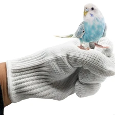alfyng Bird Training Anti-Bite Parrot Chewing Protective Gloves, Small Animal...