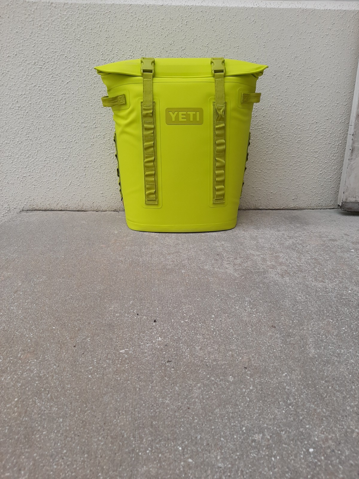 Firefly Yellow