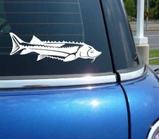 Sturgeon Fish Fishing Bait Graphic Decal Sticker Art Car Wall Decor Sturgeon Fish Fishing Bait Graphic Decal Sticker Art Car Wall Decor