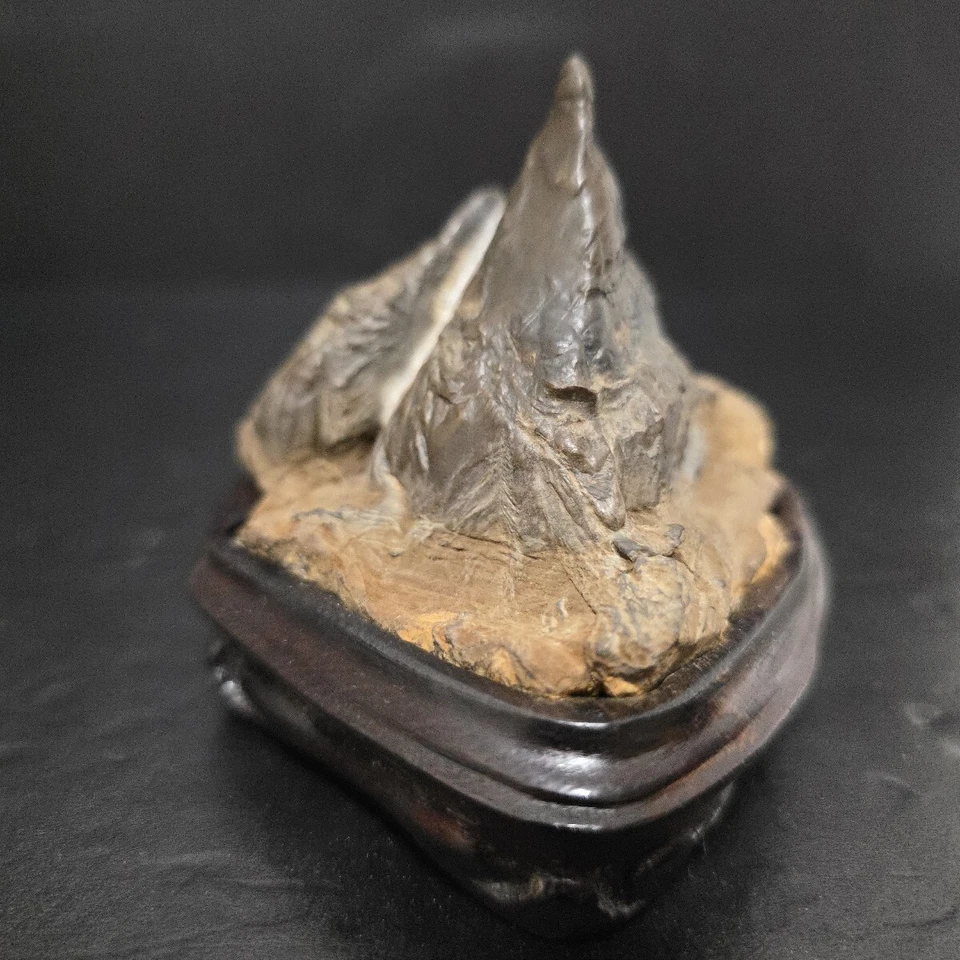 Piedra Suiseki, Bonseki, Era Furuya, piedra bonsai wabi-sabi japonés Foto 2 de 4