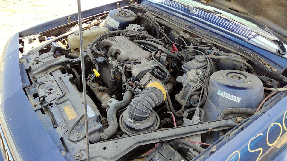 Regulador de ventana eléctrica delantero derecho 82-96 Olds Cutlass Ciera pasajero con motor Foto 3 de 4