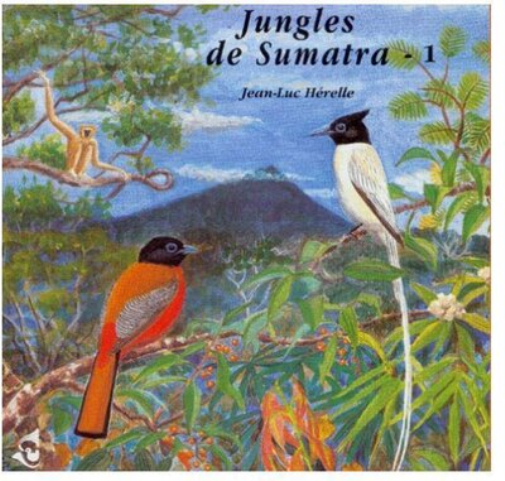 Jean-Luc Hérelle Jungles De Sumatra - 1 (CD) Album