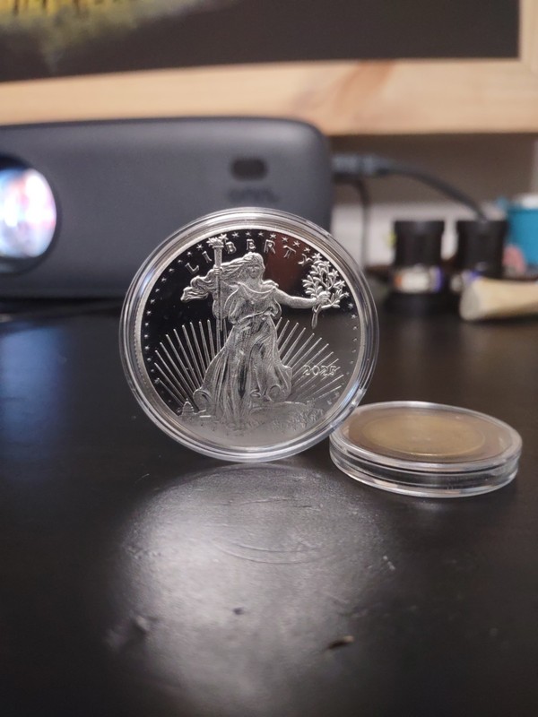 White Gold Electro-plated Coin (Copy)