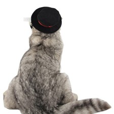 Pet Cosplay Costume Black Velvet Hat for Dog Cat Holiday Party Photo Shoot