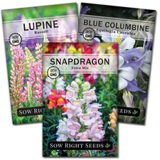 - Hummingbird Seed Collection for Planting - Snapdragons, Russell Lupine, and...