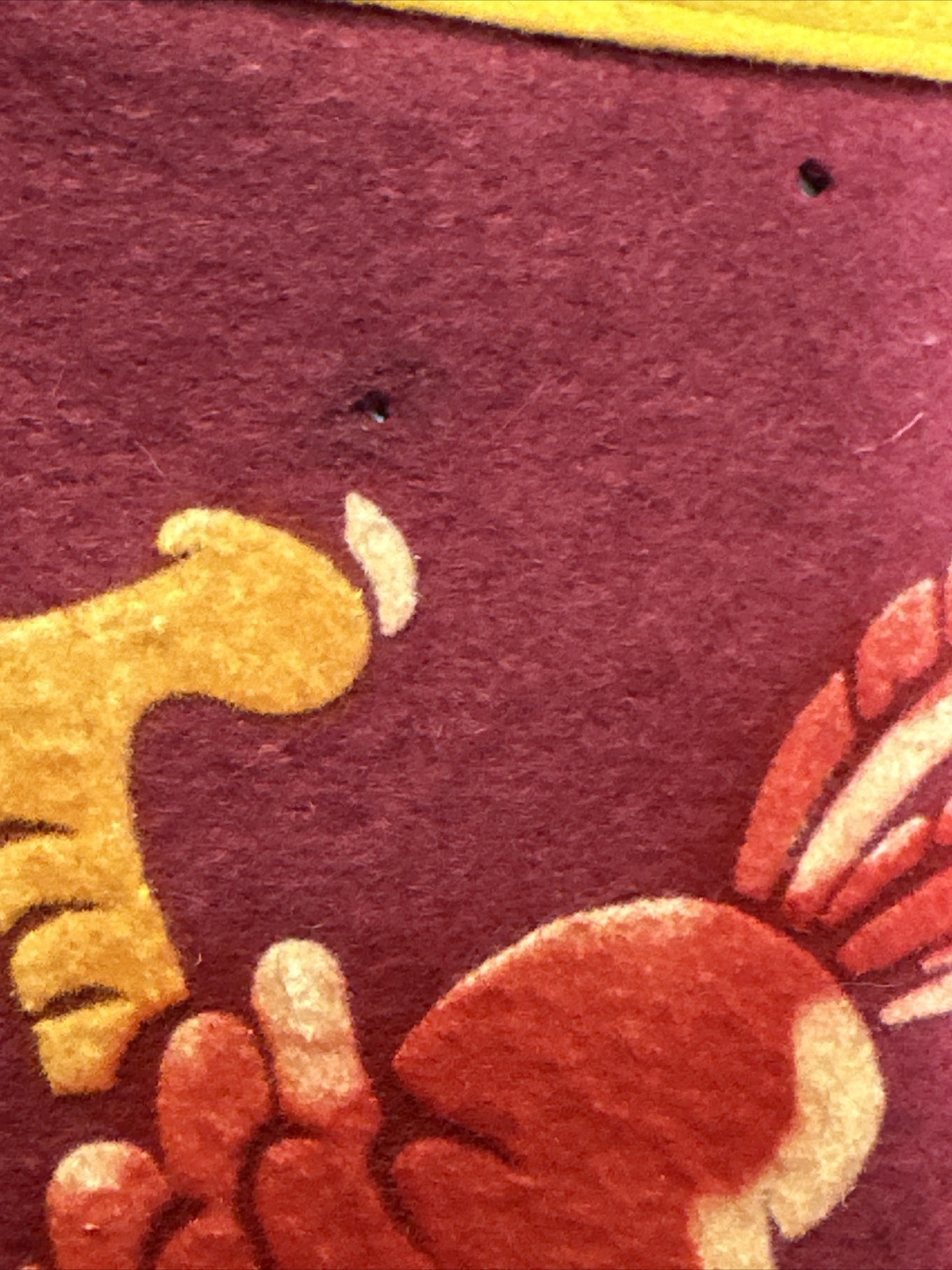 Picture 5 of 13