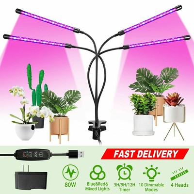 grow lights timing