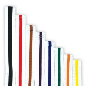 hapkido belt