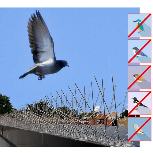 30pcs ANTI BIRD SPIKES 15M Stainless Steel Polycarbonate Base Pigeon DeterrenT - Picture 6 of 17