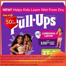Pull-Ups Girls' Learning Designs Training Pants - Size 2T-3T - 74ct: Easy-Open