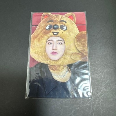 Stray Kids maxident Photo Card Han JYP Bonus SKZOO
