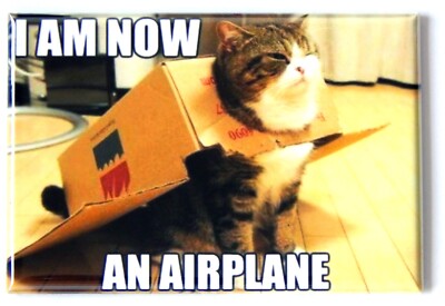 Calamita Per Frigorifero A Forma Di Gatto, Divertente Magnete Da - Foto 2