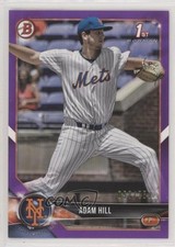 2018 Bowman Draft Purple 58/250 Adam Hill #BD-154 z6b