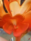 Vintage Flower Glass Paper Weight Orange /red Flower — photo 9