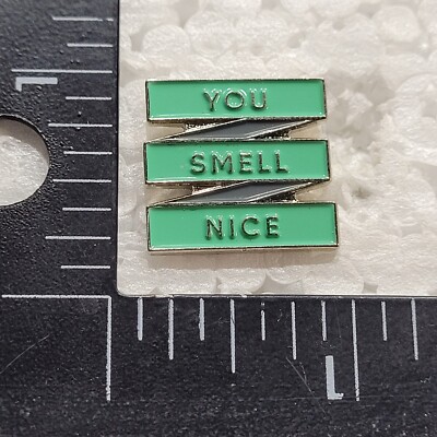YOU SMELL NICE HAT LAPEL PIN PIN BACK USED (II3583)