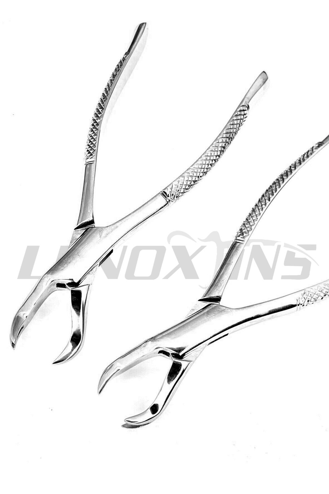 Dental Extracting Forceps set 88RL Upper Molars Cow Horn. Dental Instruments eBay
