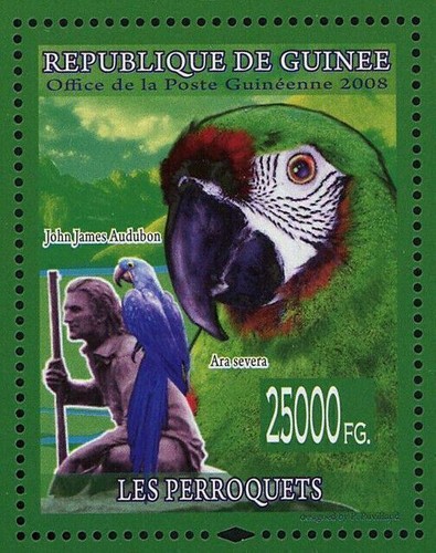 Parrots Stamp Bird John James Audubon Ara Severa Ara Rubrogenys S/S MNH - Picture 8 of 12
