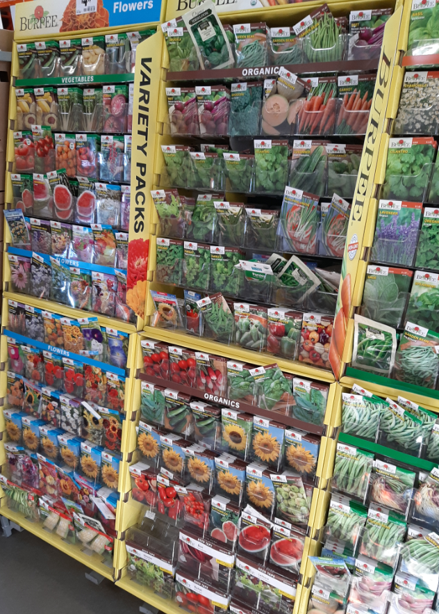 Tomato Steak Sandwich Hybrid Vegetable Seeds Burpee 11/24 eBay