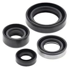 Winderosa Engine Oil Seal Kit for Suzuki DR350SE 1990-1999 822309 182-2309