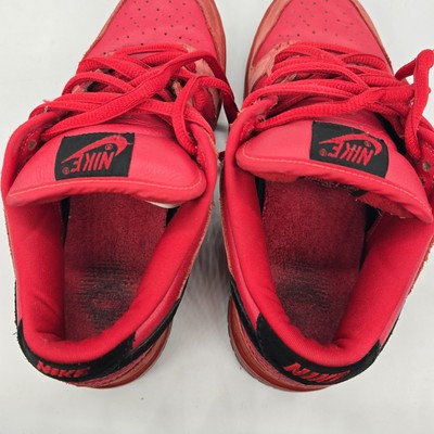 2003 Nike Dunk Low SB Pure Blood Vampire Red 304292-601 Fat Tongue