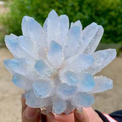 442G New Find BLUE PhantomQuartz Crystal Cluster MineralSpecimen
