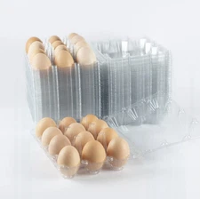 40 Pack Plastic Egg Cartons Cheap Bulk 1 Dozen Clear Empty for Chicken Eggs, 3x4