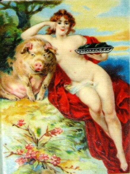 Picture 2 of 11