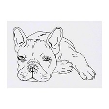 'French Bulldog' Temporary Tattoos / Transfers TO00051552 